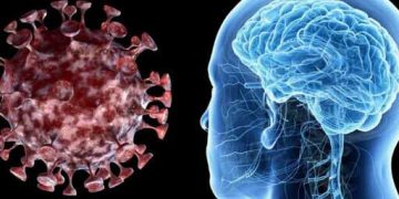 کروناویروس از راه بینی، مغز را آلوده می‌کند