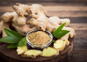 زنجبیل داروی جهانی / چرا هندی ها این ادویه را داروی جهانی می دانند؟