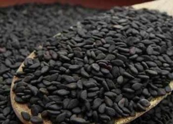 سیاه دانه بر روی گوارش موثر است / تیموکینون چیست؟