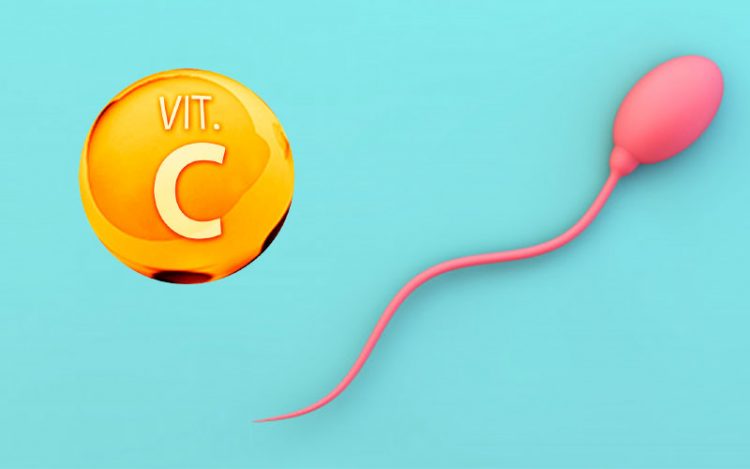 ویتامین C در باروری مردان چه نقشی داره؟