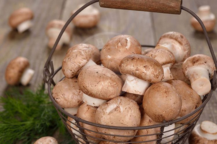 چگونه نیاز بدن به ویتامین D را تامین کنیم!؟