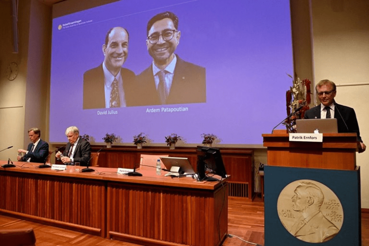 جایزه‌ نوبل پزشکی ۲۰۲۱ به کاشفان گیرنده‌های گرما و لمس رسید‌