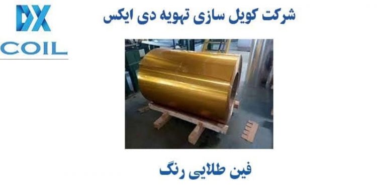 فین طلایی