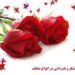 جواب تشکر رسمی