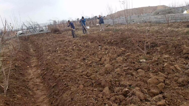 قیمت زمین باغی در شهریار