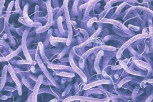 وبا چیست؟ برای جلوگیری از ابتلا به بیماری وبا چیکار کنیم؟