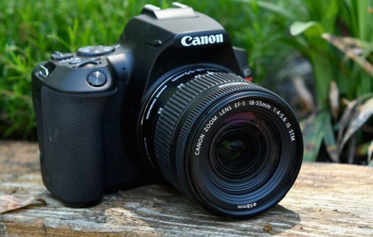 برای شروع عکاسی کدام دوربین مناسب شماست؟