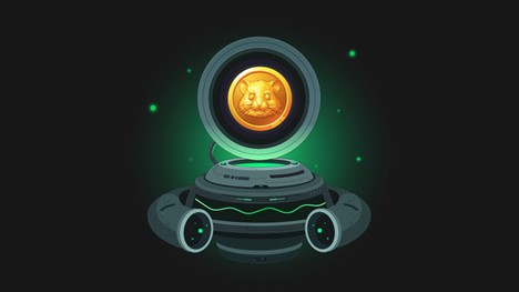 آیا درآمدزایی از بازی همستر واقعی است؟