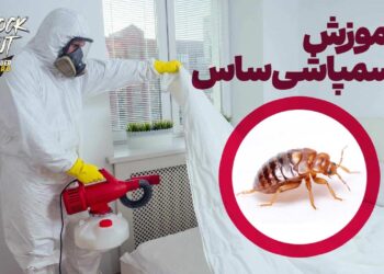 آموزش سمپاشی ساس منزل بدون تخلیه - بدون بو با سم ساس ناک اوت