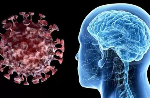کروناویروس از راه بینی، مغز را آلوده می‌کند