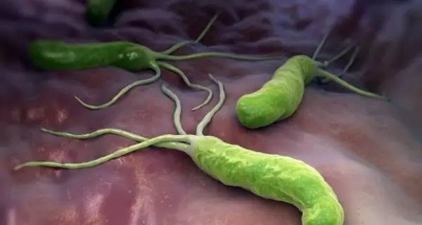 باکتری هلیکوباکتر پیلوری را بهتر بشناسیم/ دلیل بیماری پارکینسون چیست؟