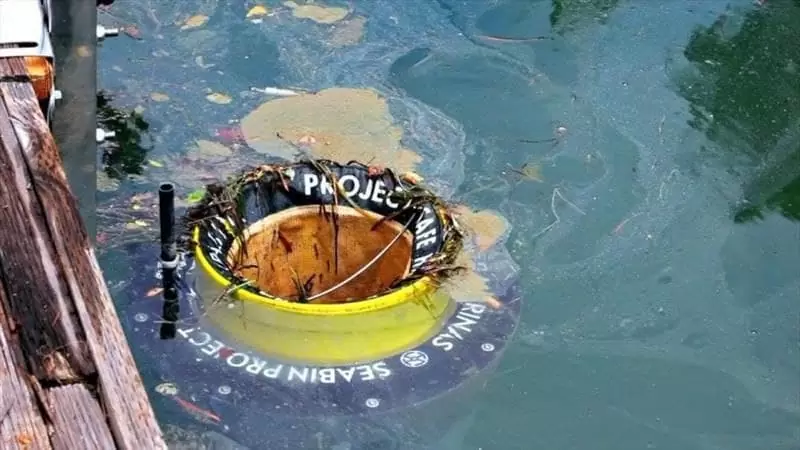 ۵_سیبین، حذف آلودگی دریایی از عجیب ترین تکنولوژی های جهان