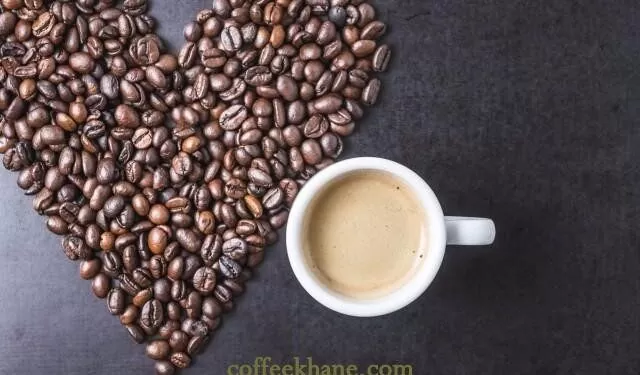 راهنما خرید قهوه فرانسه