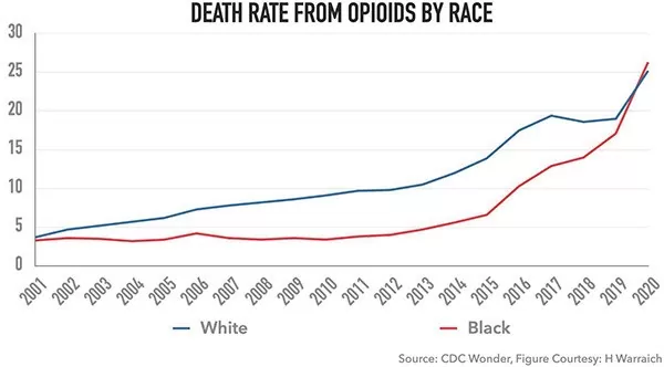 نابرابری بهداشتی در غرب باعث افزایش مرگ سیاه پوستان معتاد