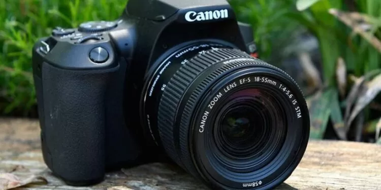 برای شروع عکاسی کدام دوربین مناسب شماست؟