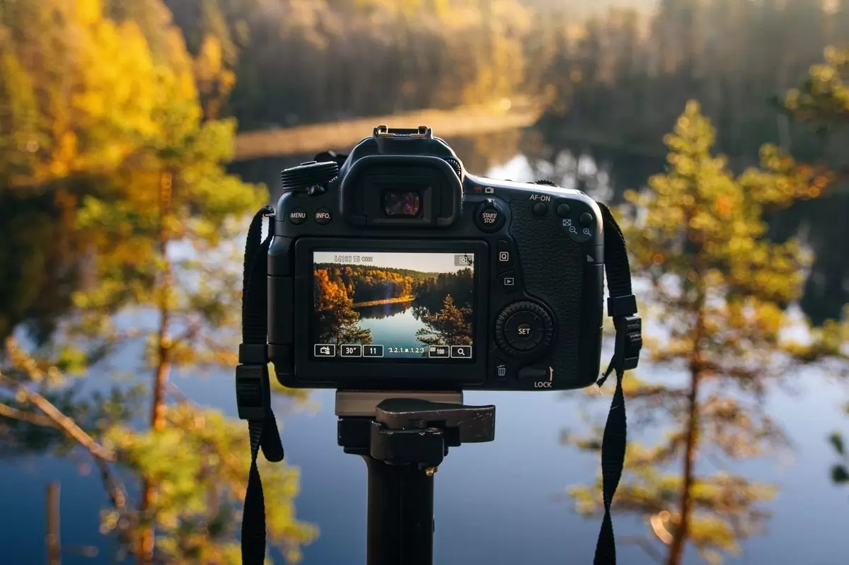 راهنمای انتخاب بهترین دوربین برای عکاسی در جنگل